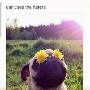 Meet your Posher, Kirsten